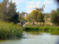 5217_Other_birders_at_STW