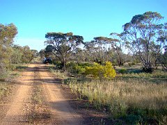 5293_Goschen_Reserve