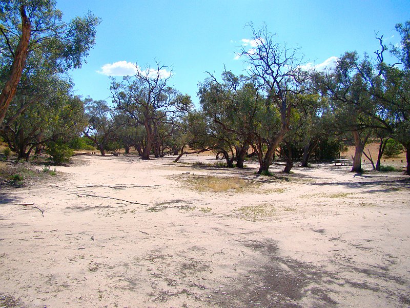 5495_Hattah_campground.JPG
