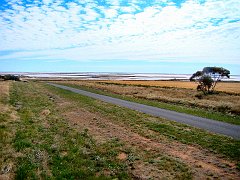 5481_Lake_Tyrrell
