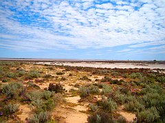 5491_Lake_Tyrrell