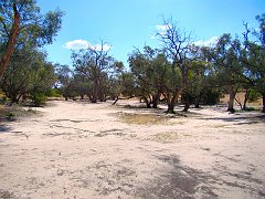 5495_Hattah_campground