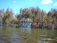 5501_Lake_Hattah