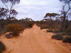 5505_Nowingi_Track