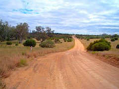 5545_Mournpall_Track