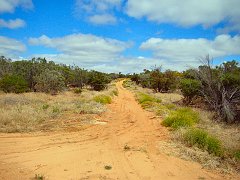 5563_The_Konardin_Track