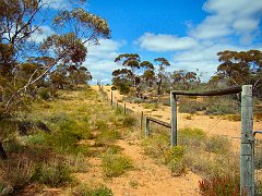 5564_Kangaroo_fence
