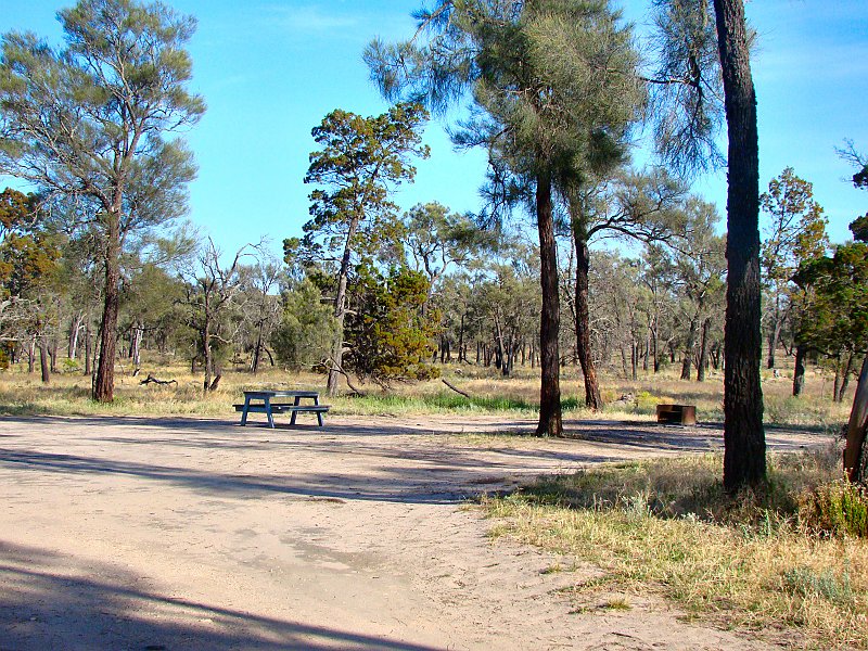 5634_Casuarina_campground_Wyperfeld_NP.JPG
