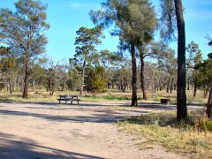 5634_Casuarina_campground_Wyperfeld_NP