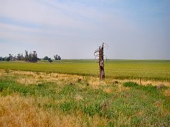 5740_Wide_green_land