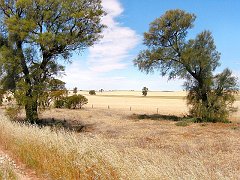 5740a_Wide_brown_land_in_2004
