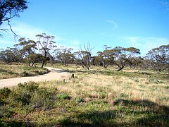 5753_Murray-Sunset_NP