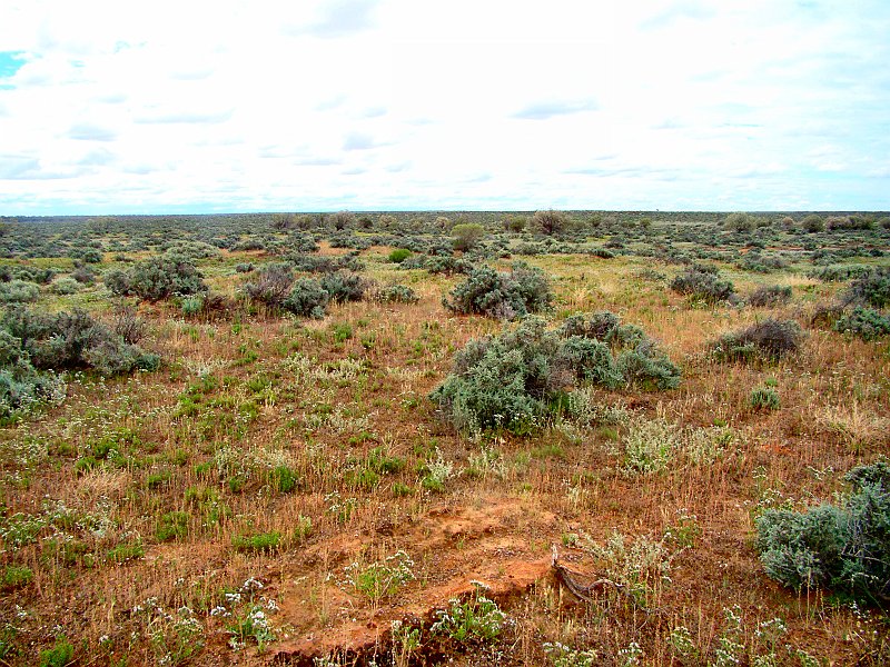 5793_Bluethroat_environment.JPG