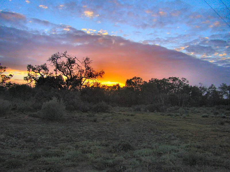 5820_Sunrise_at_Calperum_headquarters.JPG