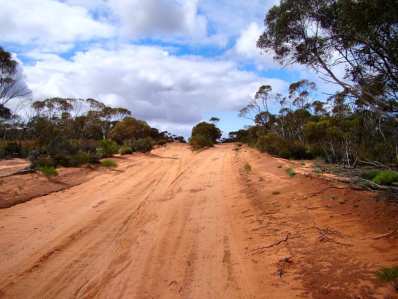 5841_Divided_road_at_the_crest.JPG