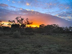 5820_Sunrise_at_Calperum_headquarters