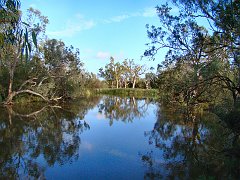 5825_Ralral_Creek