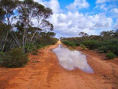 5833_Average_sized_puddle