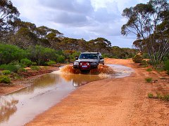 5834_Through_the_middle_of_a_puddle