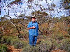 5836_The_Old_Rambler_in_the_mallee