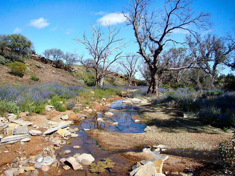 5908_Creek.JPG