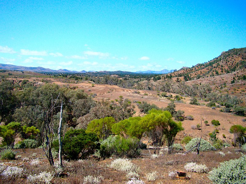 5912_Flinders_Ranges_NP.JPG