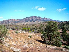 5911_Flinders_Ranges_National_Park