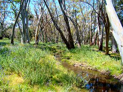 5935_Wilpena_Resort_area