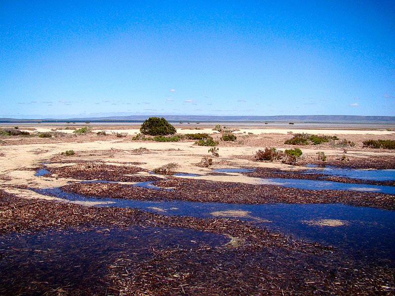 6026_The_beach.JPG