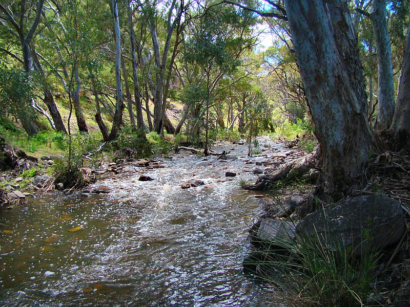 6048_Mambray_Creek.JPG
