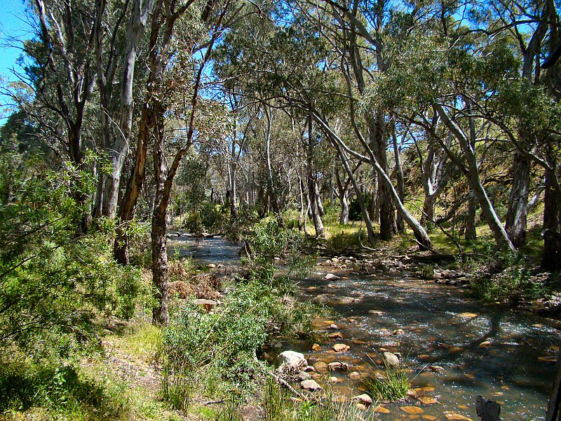 6089_Mambray_Creek.JPG