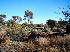 6008_Arid_Lands_Botanical_Garden