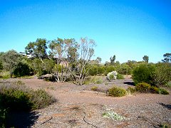 6013_Arid_Land_Botanical_Garden