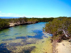 6028_Chinamans_Creek