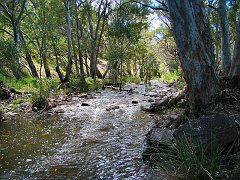 6048_Mambray_Creek
