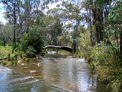 6078_Mambray_Creek