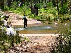 6080_Hiker_crossing_creek
