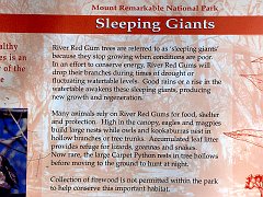6085_River_Red_Gum_sign