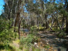 6089_Mambray_Creek
