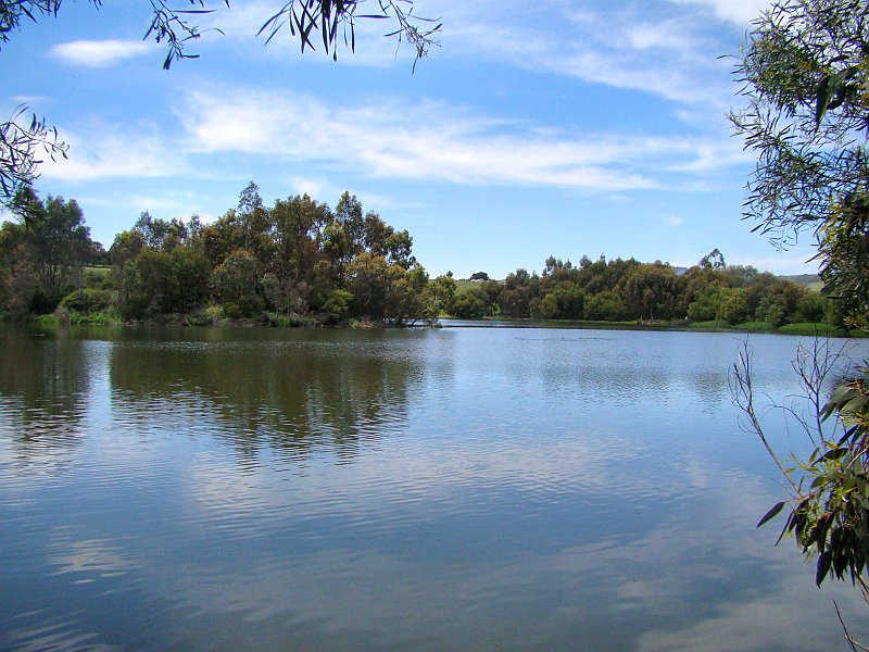 6134_Laratinga_Wetlands.JPG
