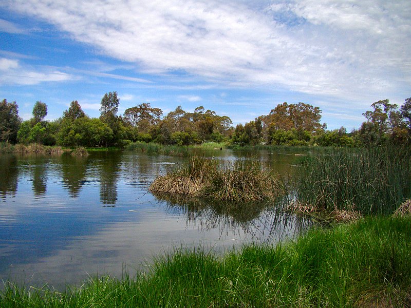 6149_Laratinga_Wetlands.JPG