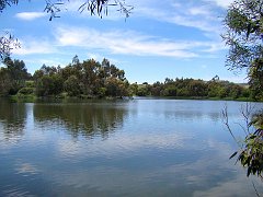 6134_Laratinga_Wetlands
