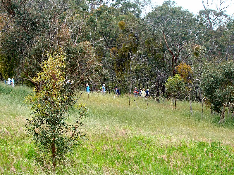 6349_Bushwalkers.JPG
