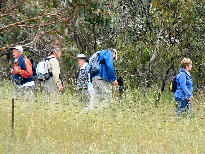 6350_Two_bushwalking_groups_meet.JPG