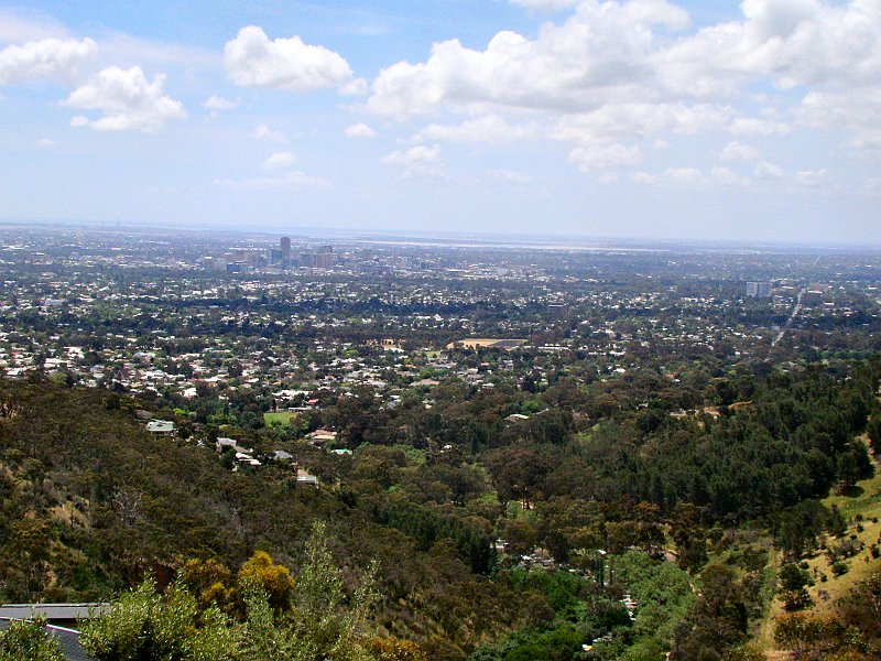6355_Adelaide.JPG