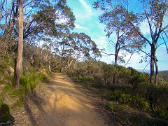 6307_Cleland_Conservation_Park