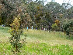 6349_Bushwalkers