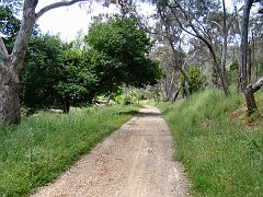 6351_Belair_National_Park