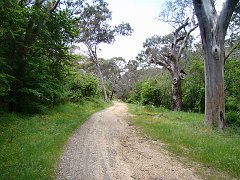 6352_Belair_National_Park