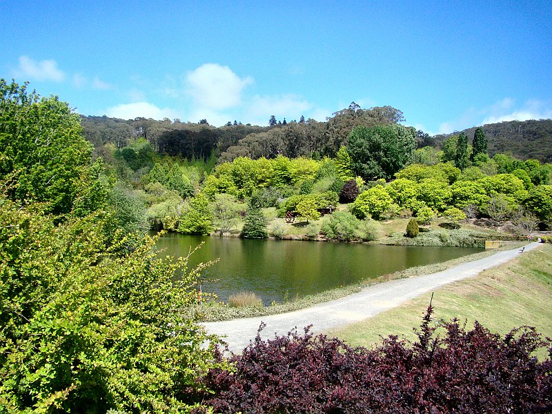 6467_Mt_Lofty_Botanic_Garden_lake.JPG